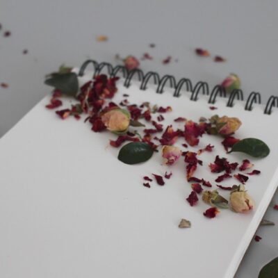 Avant le mariage Carnet d’organisation de mariage parsemé de pétales de rose